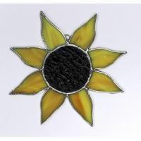 img_5034_cox_sunflower_-2