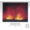 prairie_fire-2